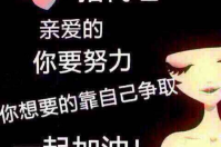 智絡(luò)會員管理系統(tǒng)如何代理？