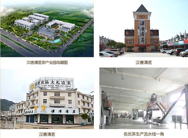 安徽霍山漢唐清茗茶葉有限公司成功簽約智絡(luò)連鎖會員管理系統(tǒng)